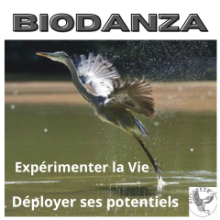 Bienvenue tel.le que tu es.