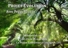 Projet Evolution