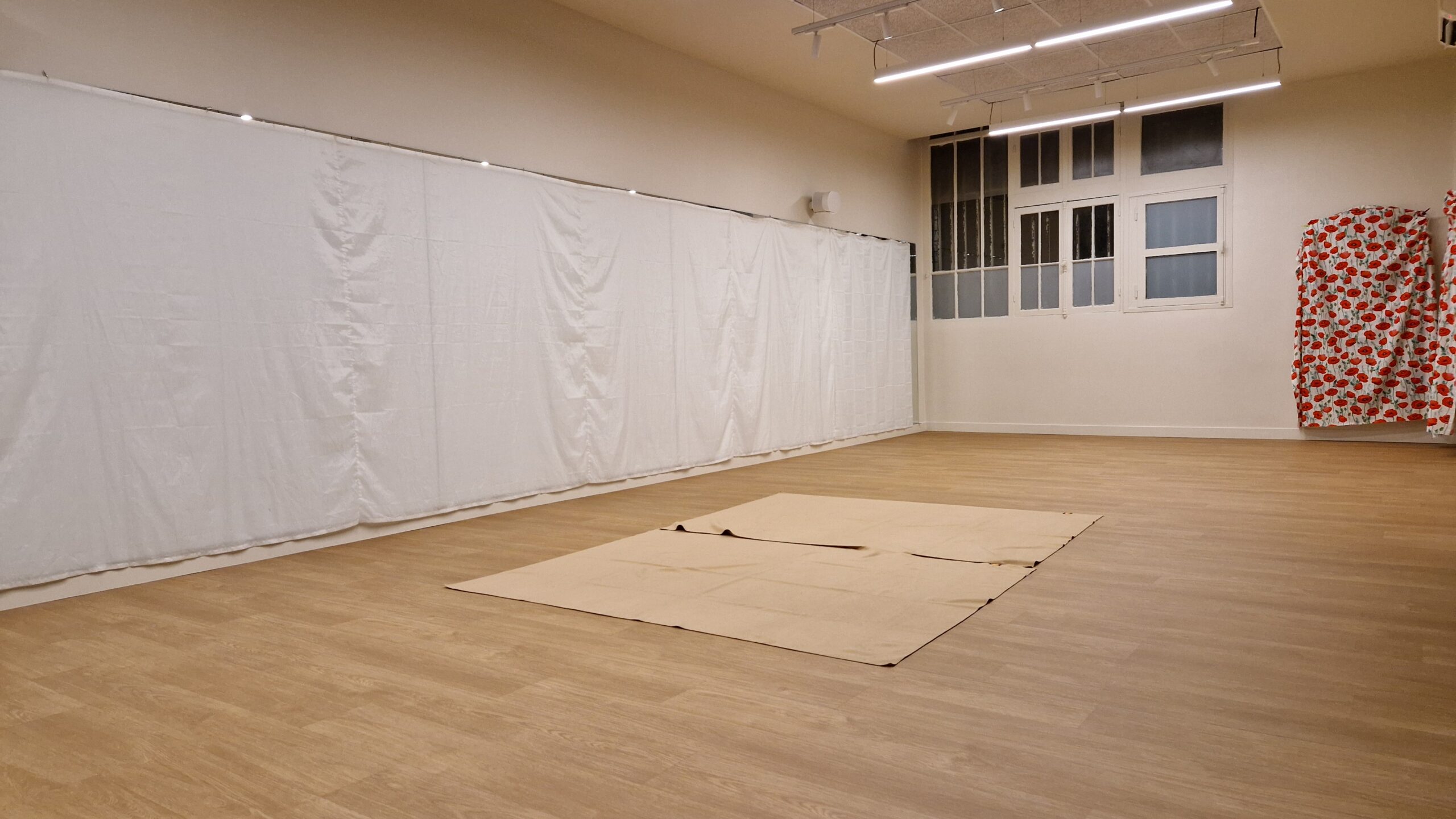 Biodanza à Paris Rive Gauche – XVème