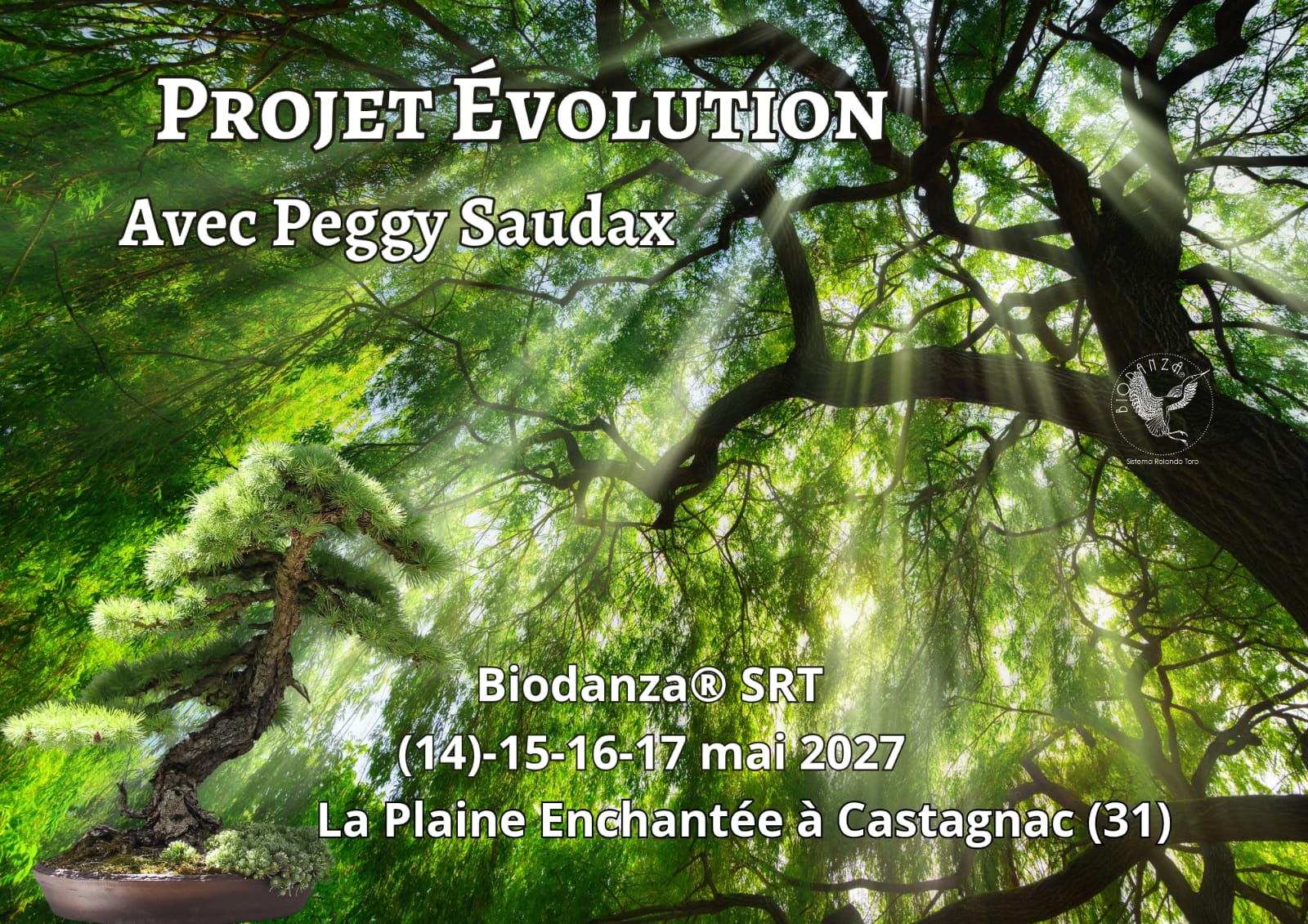 Flyer Projet Évolution